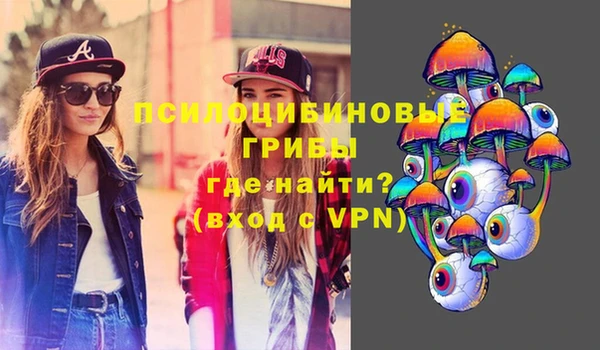 гашик Протвино