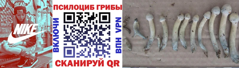 Купить где  Ковдор  Галлюциногенные грибы ЛСД 